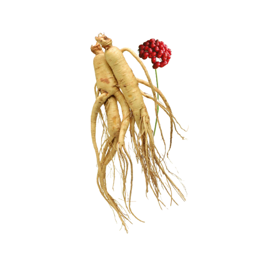 Manuka Ginseng Honey